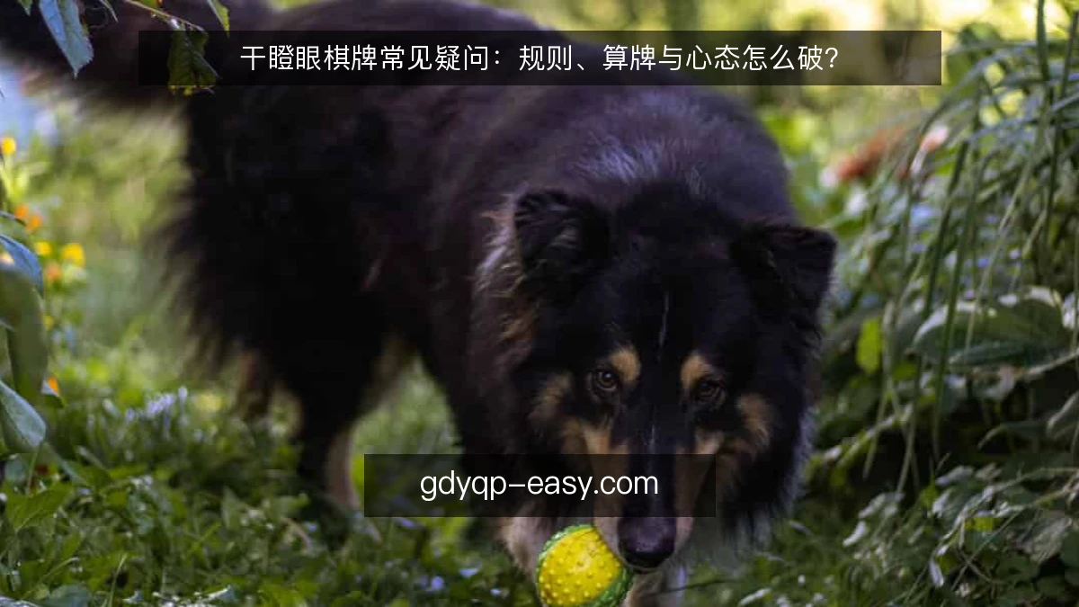 干瞪眼棋牌常见疑问：规则、算牌与心态怎么破？